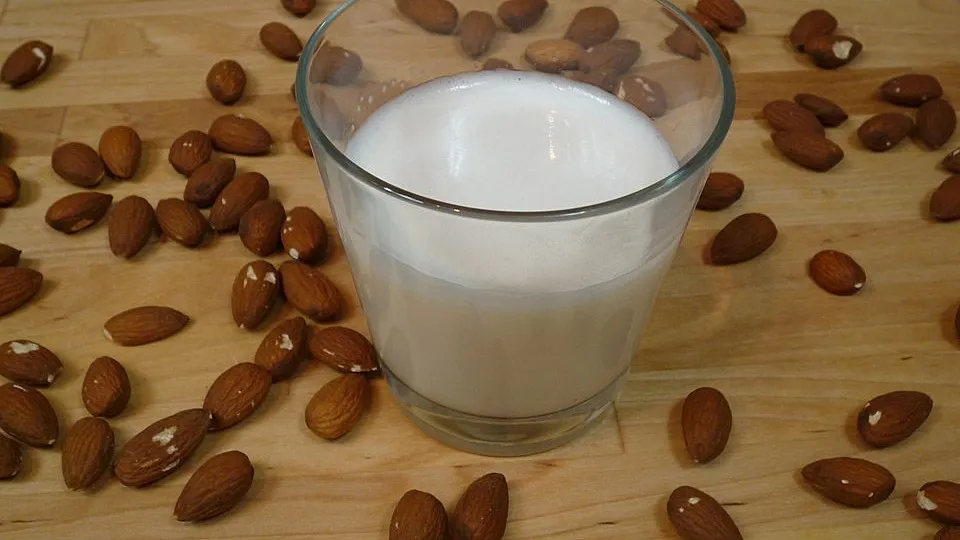 Mandelmilch selber machen (vegan)