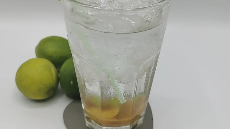 Virgin Mojito