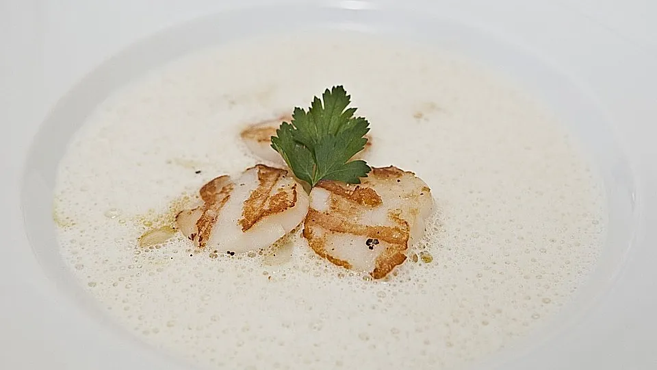 Spargelsuppe mit gegrillten Jakobsmuscheln